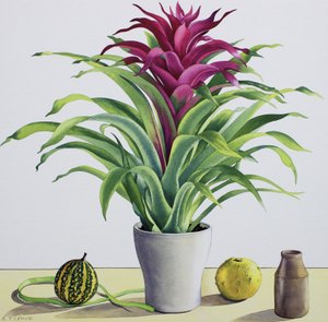 Nature morte avec broméliacée - Christopher Ryland